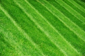 Commercial Landscaper Kent, Ohio